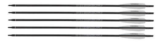 FENRIS Carbon arrows – Set of 5