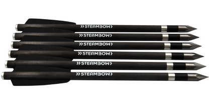 AR-Series Carbon Bodkin Arrows - Set of 6