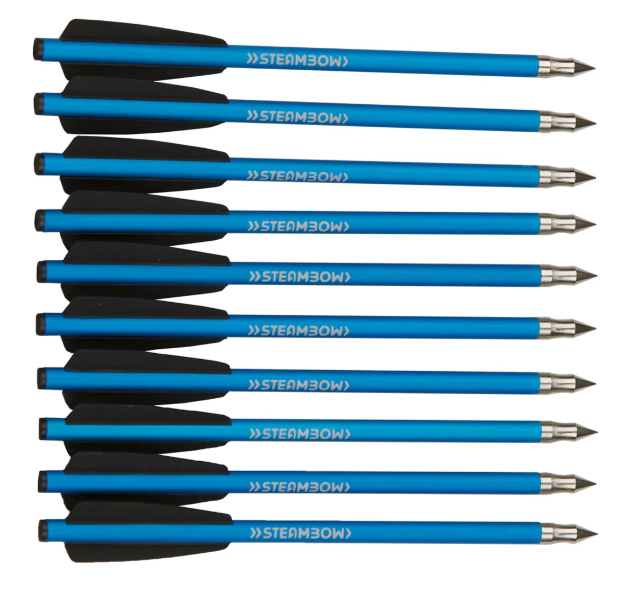 AR-Series Aluminum Target Arrows – Set of 10